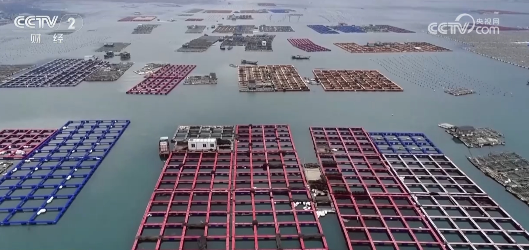 水稻秋收忙、果园飘香、海鲜满舱 金秋“丰”景美如画展现万千气象 第 5 张