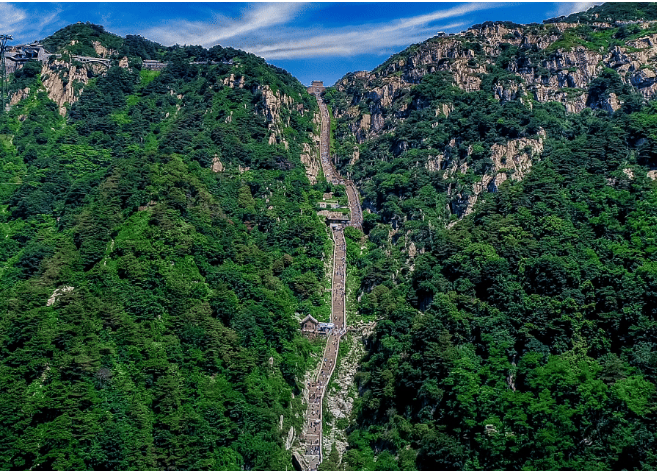 重见“齐鲁青未了” 山东泰山交出亮眼“绿色成绩单” 第 1 张