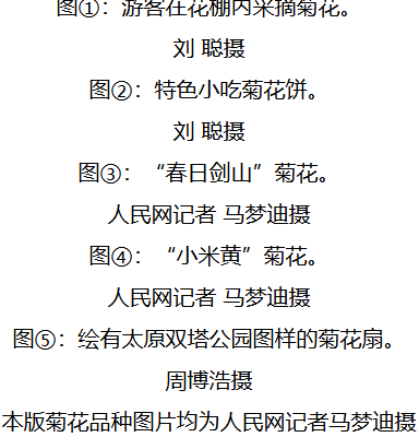 花开傲霜枝 菊色满晋阳 第 3 张