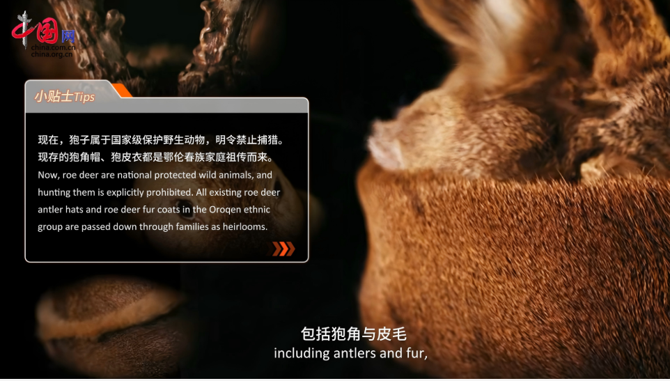 鄂伦春族:狍子帽配咖啡 林海雪原的“潮能力” 第 2 张 鄂伦春族:狍子帽配咖啡 林海雪原的“潮能力” 第 2 张