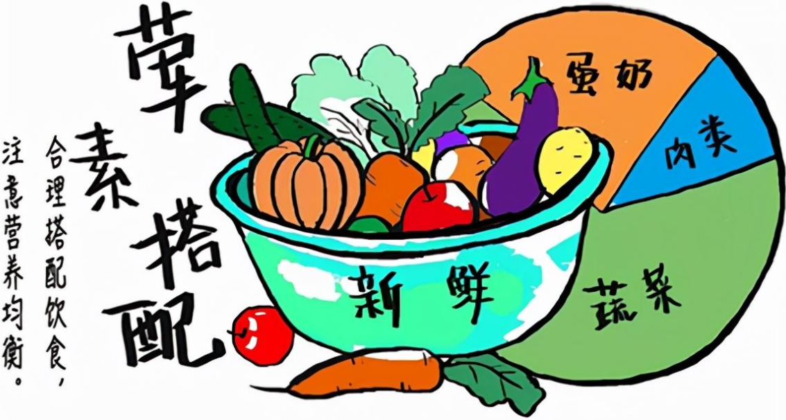 荤素搭配：调和阴阳，铸就健康长寿之道