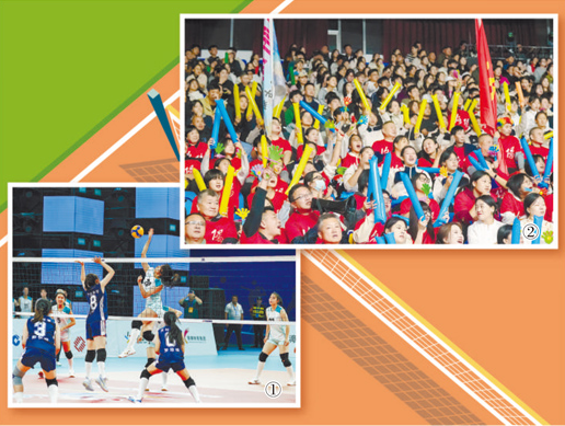 一边看“豫排” 一边赶“大集”