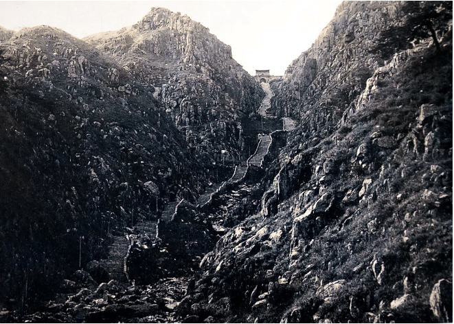 重见“齐鲁青未了” 山东泰山交出亮眼“绿色成绩单” 第 2 张 重见“齐鲁青未了” 山东泰山交出亮眼“绿色成绩单” 第 2 张