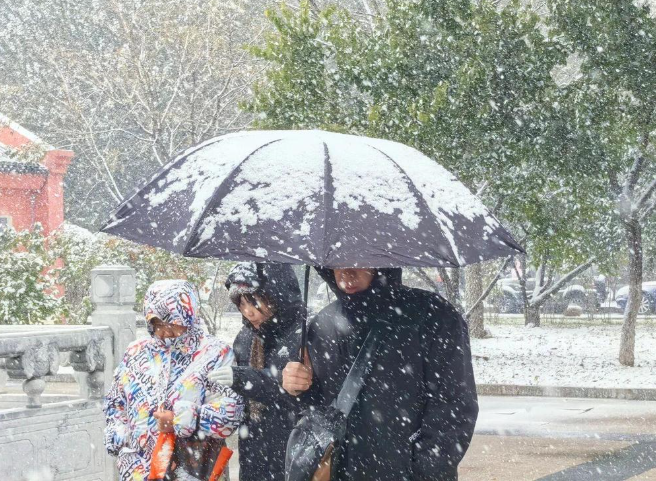 今年北方秋天为何这么短？找到原因了！ 第 2 张