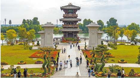 花开傲霜枝 菊色满晋阳 第 1 张