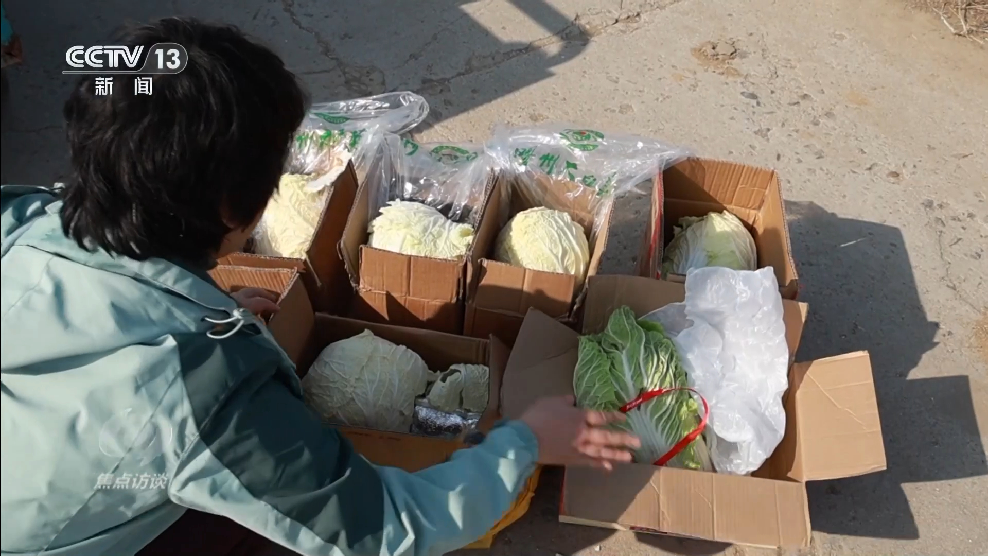 从“胶州大白菜”看地理标志保护,这些坑千万别踩! 第 8 张 从“胶州大白菜”看地理标志保护,这些坑千万别踩! 第 8 张