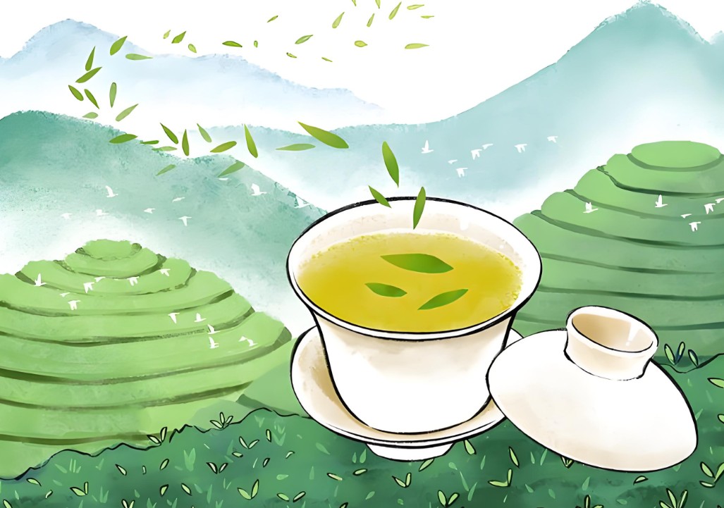 壹时评：别让古树茶炒作毁掉千年普洱底蕴