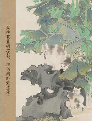 古画里的夏日猫咪治愈瞬间