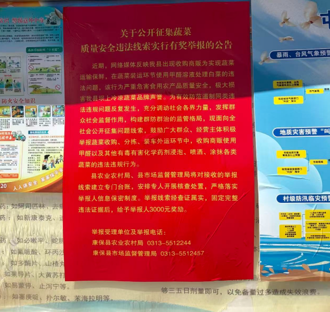 “甲醛白菜”风波之后，如何让一棵白菜安全地走上餐桌？ 第 7 张
