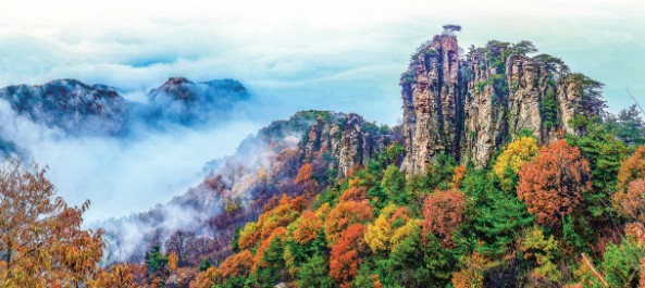 这个“五一”假期，为啥要来临沂？ 第 3 张