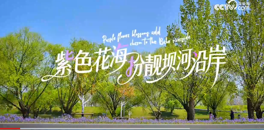 北京有条Cityride路线被外国友人疯狂点赞