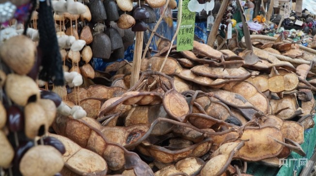 雨林馈赠变身时尚单品 野豆荚撬动“悦己”新消费 第 1 张