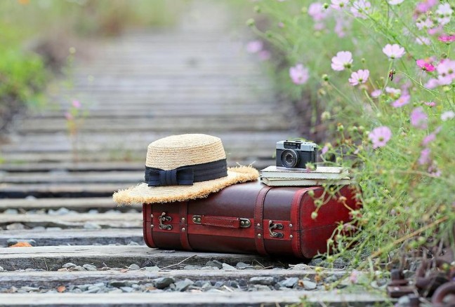 别被“半自驾”“低价团”套路了 旅游遇“糟心事”这样维权 第 1 张