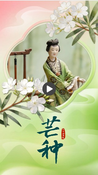 节气里的中国智慧·非遗 第 3 张