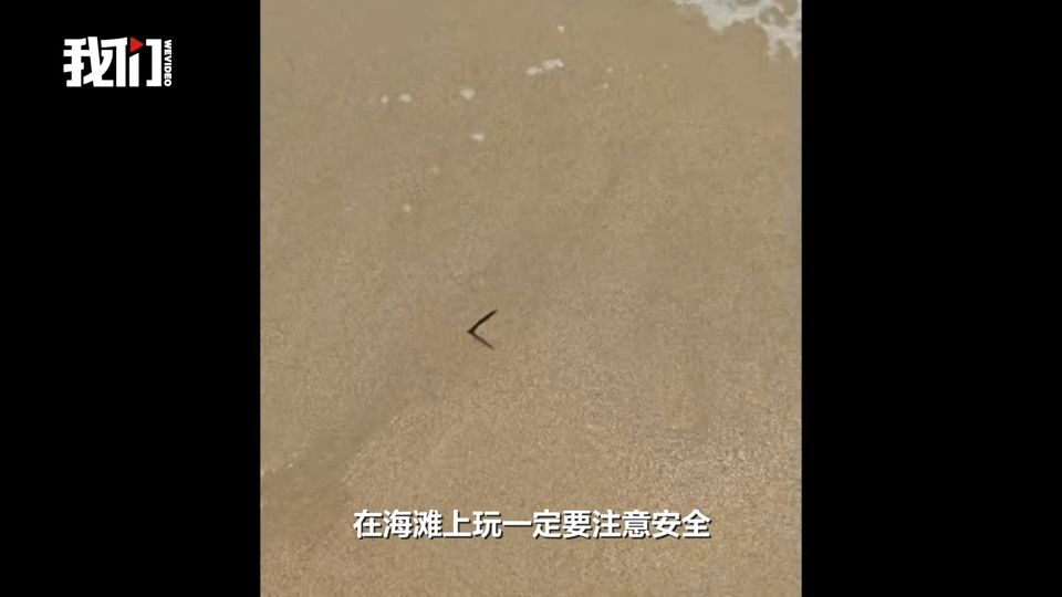 险！三亚一海滩露出尖锐钢筋 文旅局及时介入处理排除隐患 第 2 张