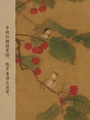 黄雀替我尝了夏天的味道 黄雀替我尝了夏天的味道