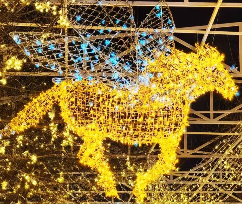 春晚后劲太大了！再一次爱上了哈尔滨 第 6 张