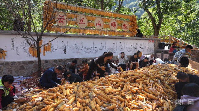 干活还上瘾!山西云丘山“掰玉米换仙票”走红网络 第 2 张 干活还上瘾!山西云丘山“掰玉米换仙票”走红网络 第 2 张
