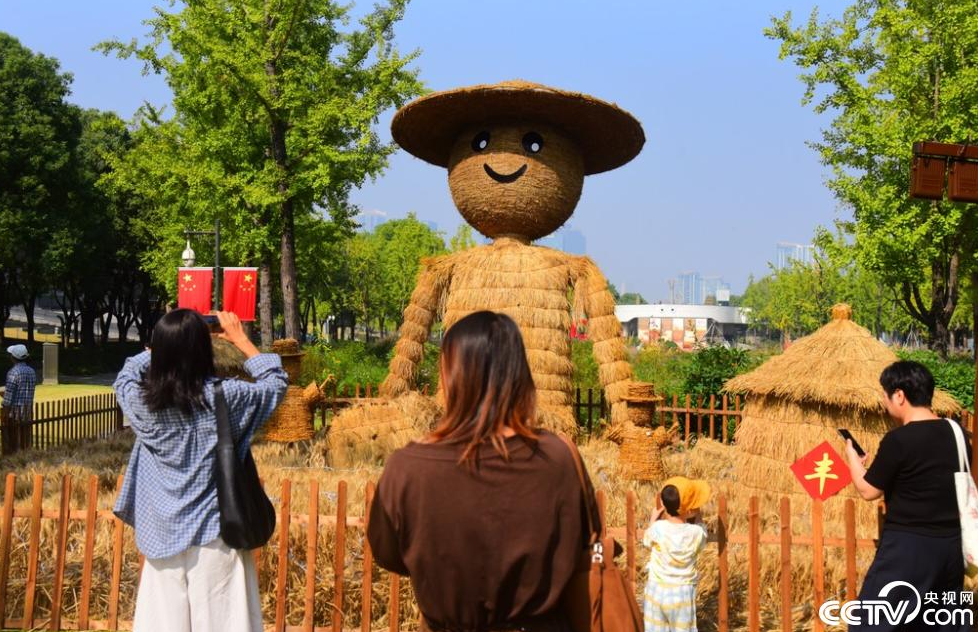 杭州：钱江世纪公园打造秋日野趣景观 第 3 张