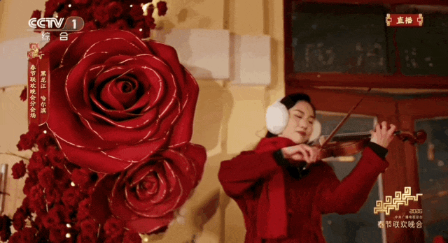 春晚后劲太大了！再一次爱上了哈尔滨 第 7 张