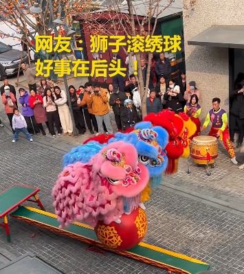 舞狮表演，四狮同踩绣球过跷跷板